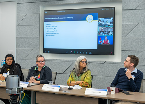 James Cusack, Gauri Divan, Amina Abubakar, and Clare Gibellini at IACC Committee meeting